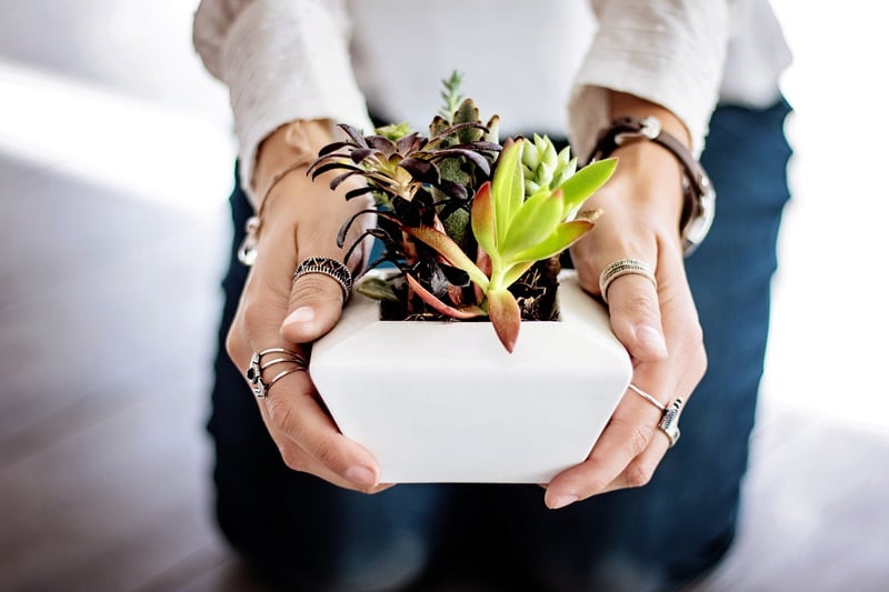 Vintage Tin Can Planters